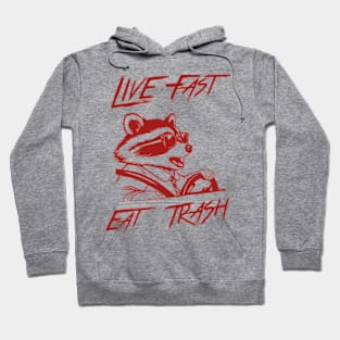 Funny Raccoon Live Fast Eat Trash Street Cats Squad Hoodie